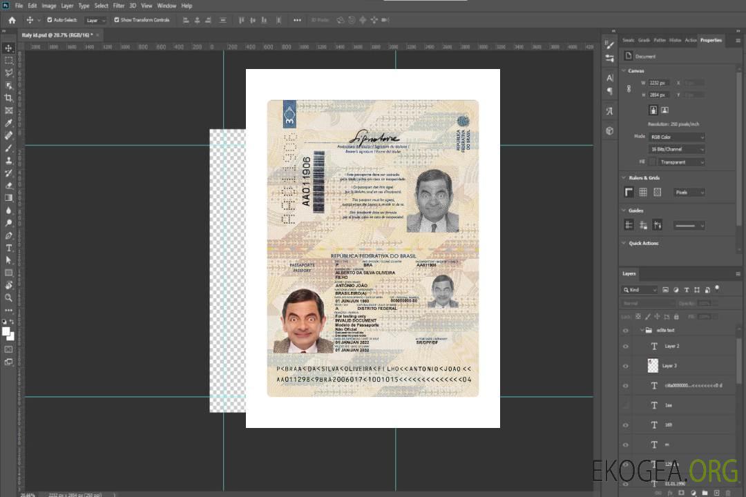 Passeport brésilien 2022-présent template Passeport brésilien 2022-présent template